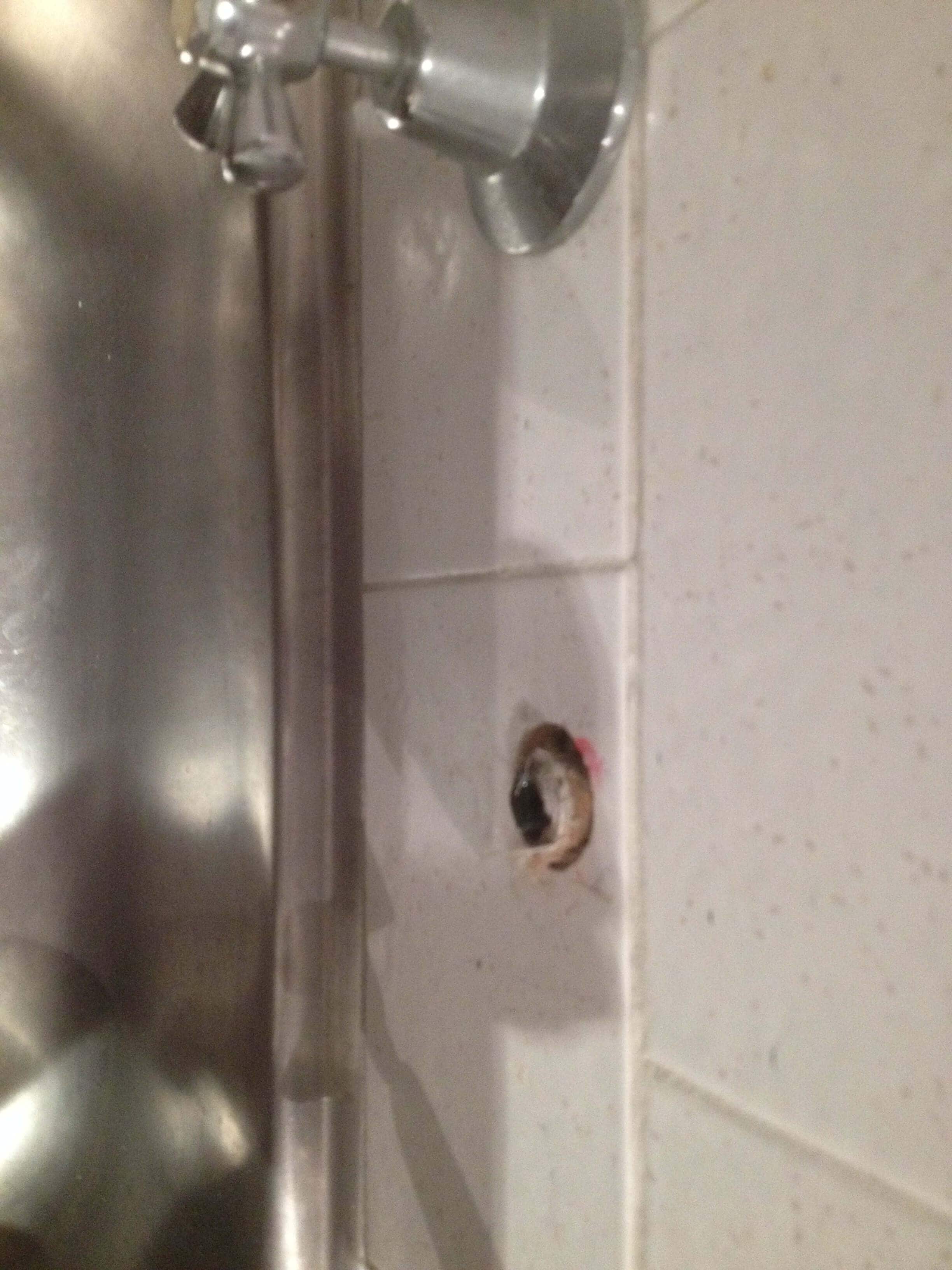 Everyday Plumbers Leaking Tap Repairs - Broken Tap Water Part 2284