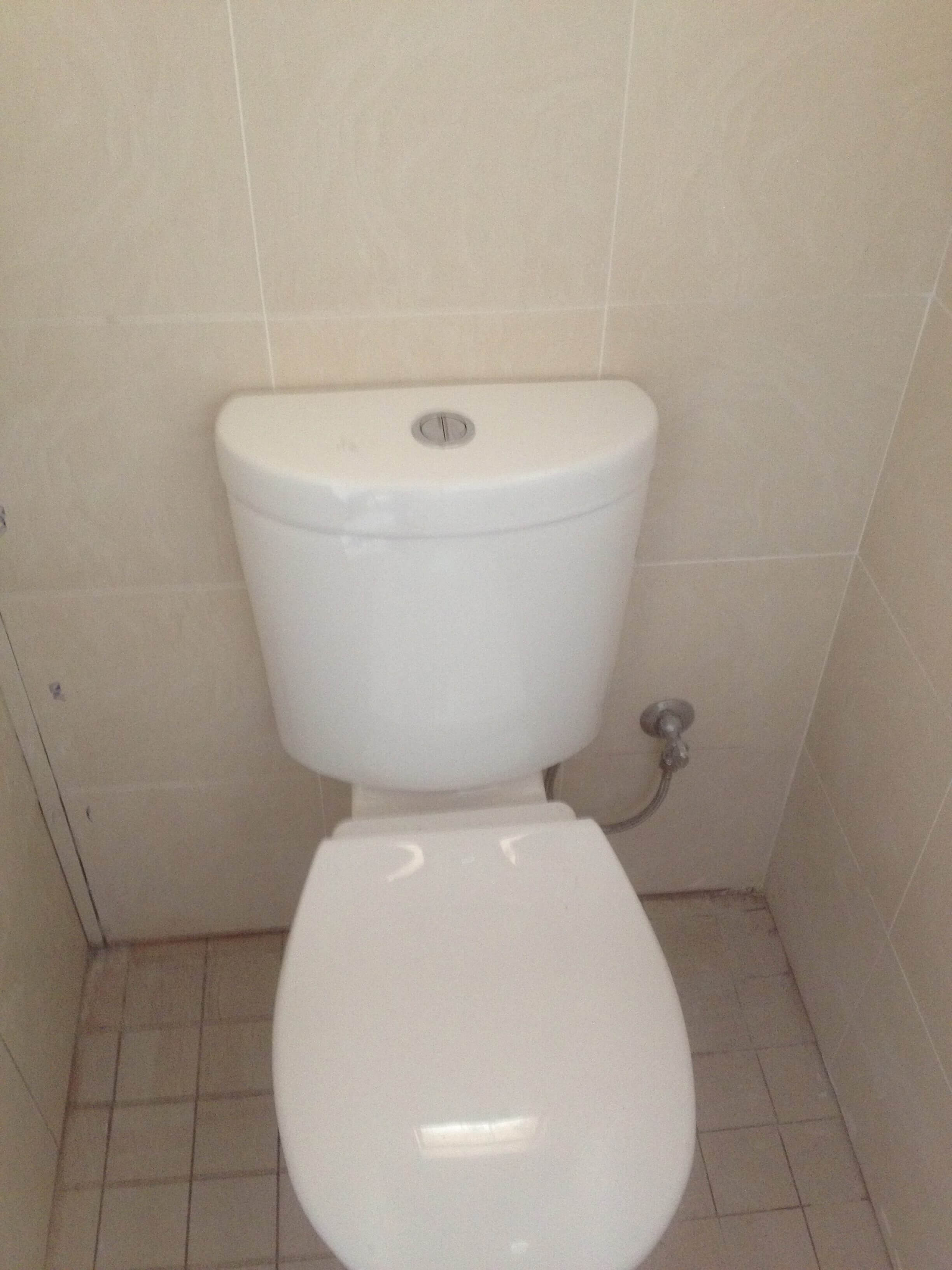 Everyday Plumbers Plumbing Fittings and Sanitary Fixtures - Bathroom Toilet and Bowl 2455